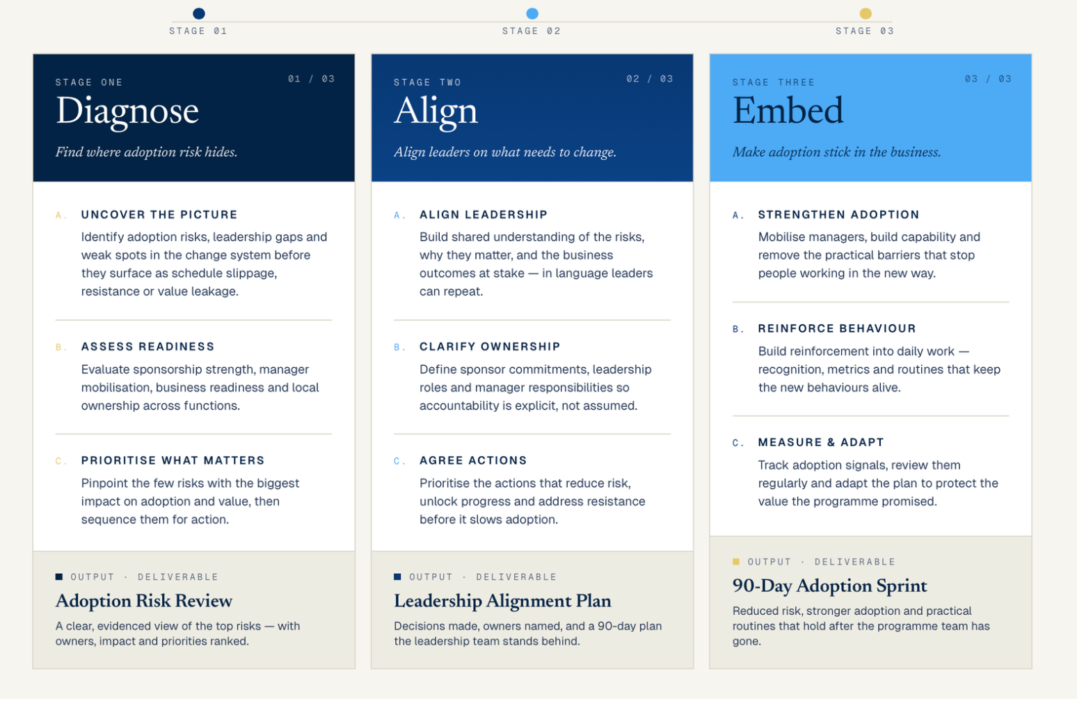 Diagnose, Align, Embed: the IBA advisory model